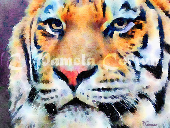 570x428 Bengal Tiger Watercolor Clemson Tigers Watercolor Painting - Tiger Watercolor Painting