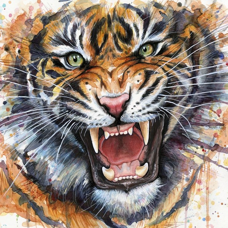 742x742 Pin By Anonymousbathtub On Tigerskull Project - Tiger Watercolor Painting