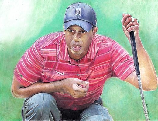 520x401 Original Cp Drawing Tiger Woods Painting By Natasha Carre - Tiger Woods Painting