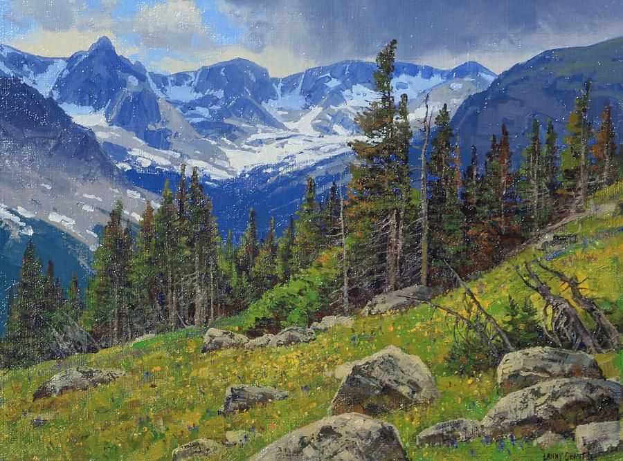 900x667 Trail Ridge Timberline Canvas Print Canvas Art By Lanny Grant - Timberline Painting