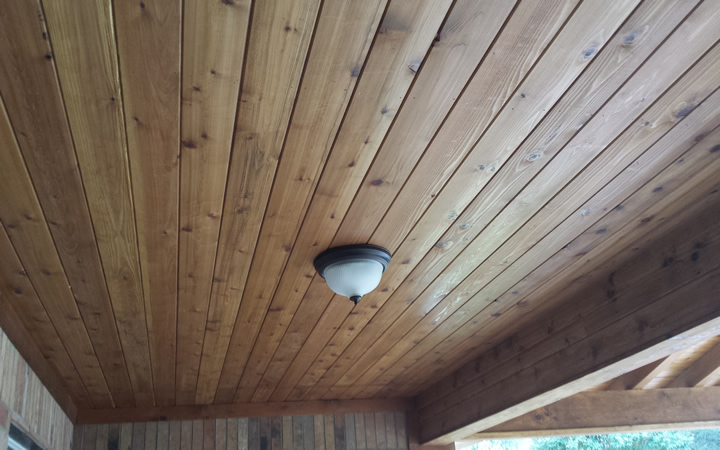 720x450 Gallery - Timberline Painting