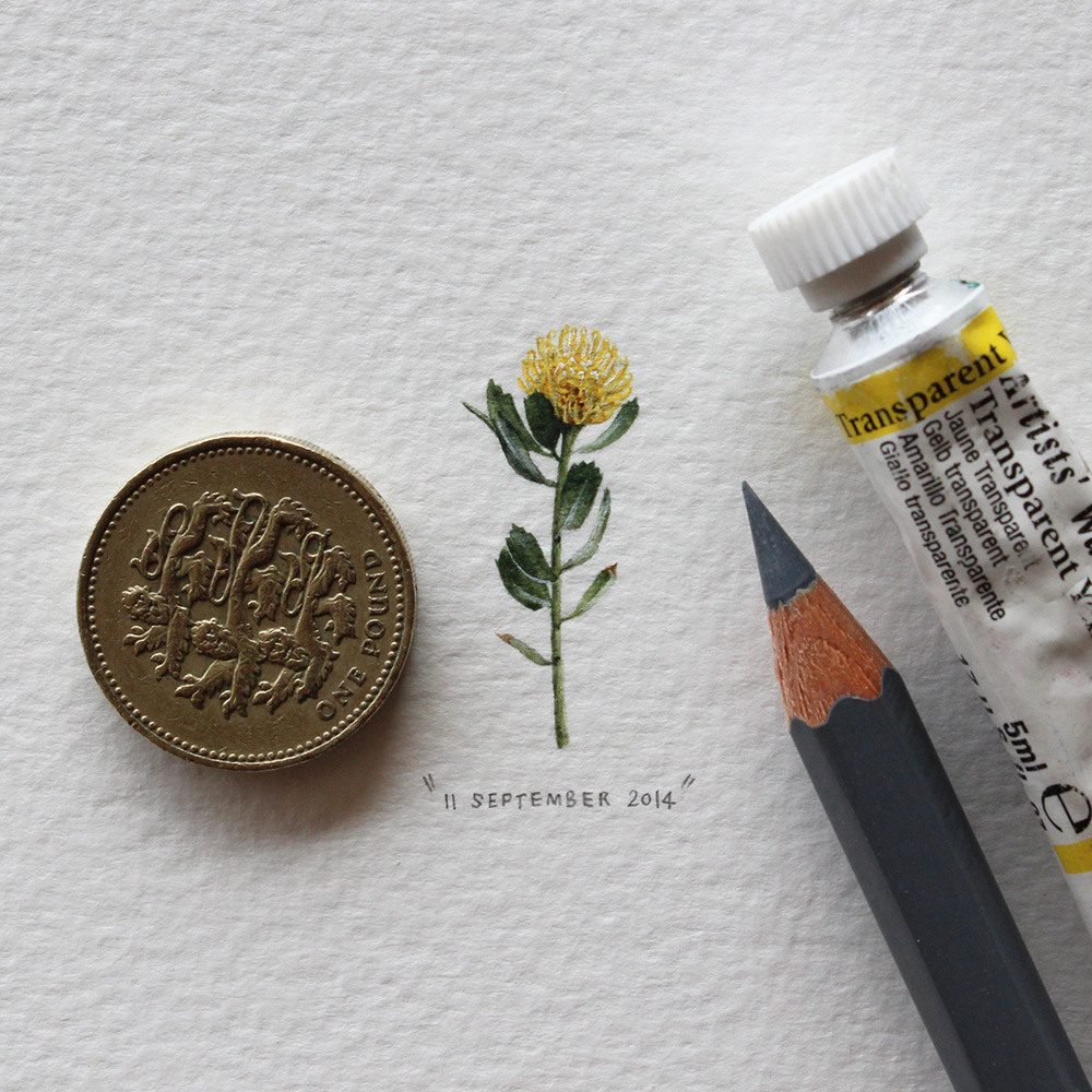 1000x1000 Postcards For Ants A 365 Day Miniature Painting Project By - Tiny Painting