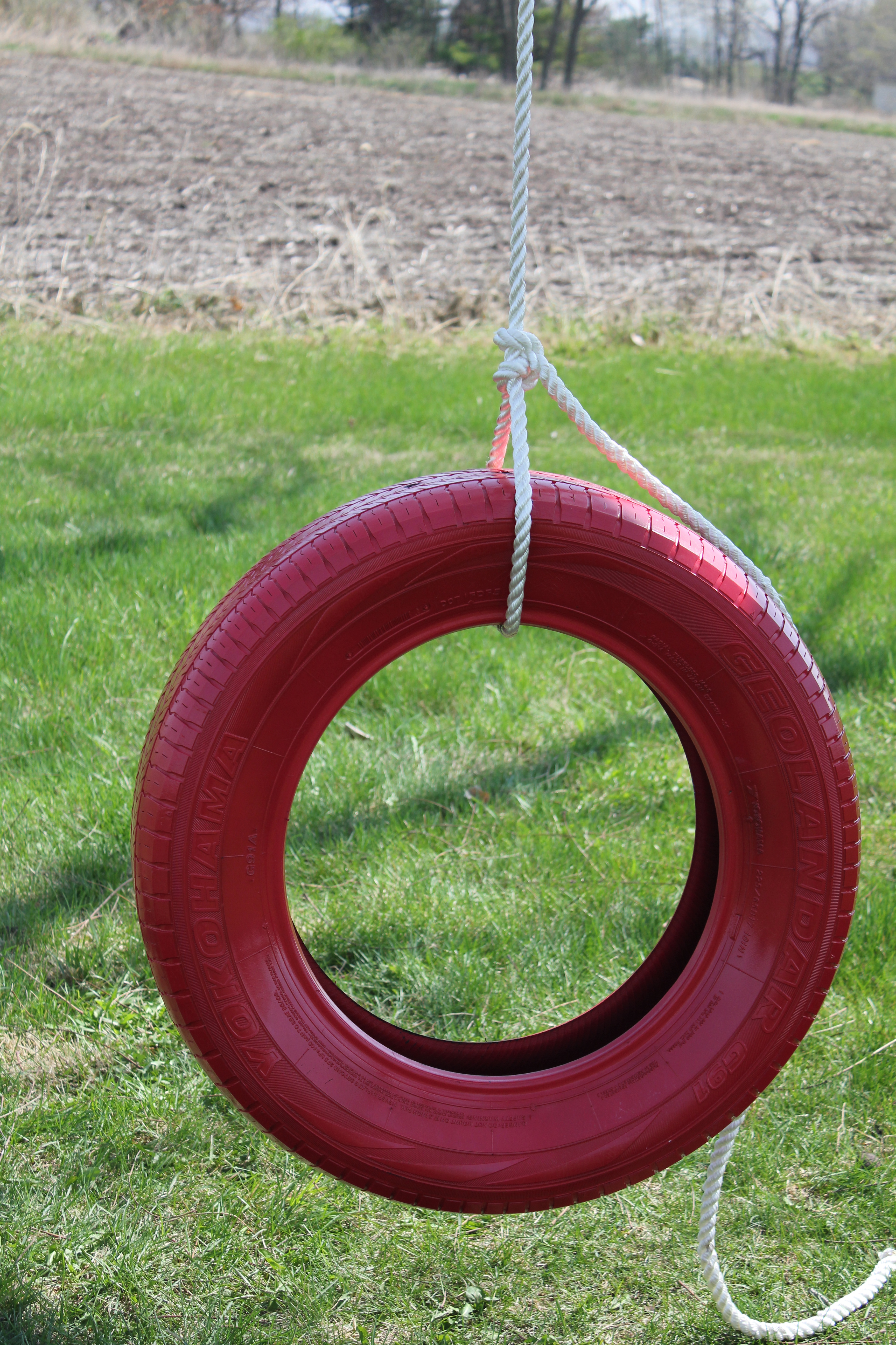 3456x5184 Our Tire Swing Beauty In The Midst - Tire Swing Painting
