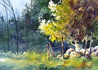 390x278 Tom Jones Watercolor - Tom Jones Painting