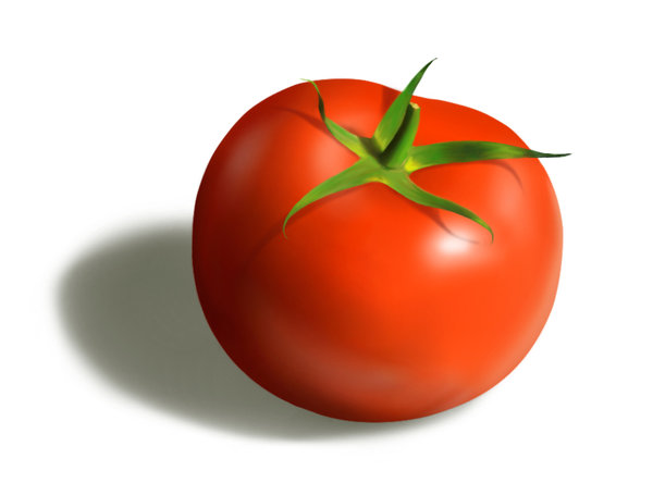 600x444 Painting Practice Tomato. By Aiecan - Tomato Painting