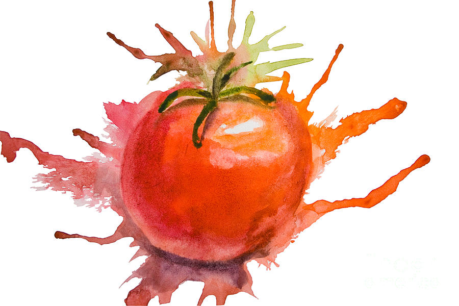 900x600 Stylized Illustration Of Tomato Painting By Regina Jershova - Tomato Painting
