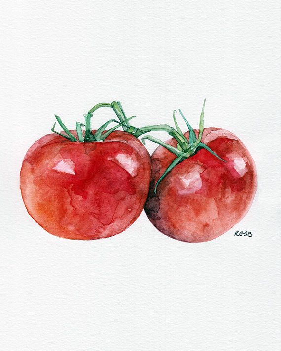 570x713 Tomato Painting - Tomato Painting