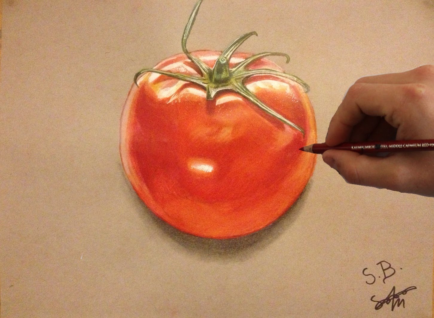 1451x1064 Drawing A Juicy Tomato - Tomato Painting