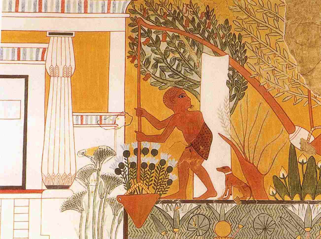 1303x971 Tomb Painting Depicting A Gardener Using A Shaduf. Tomb - Tomb Painting