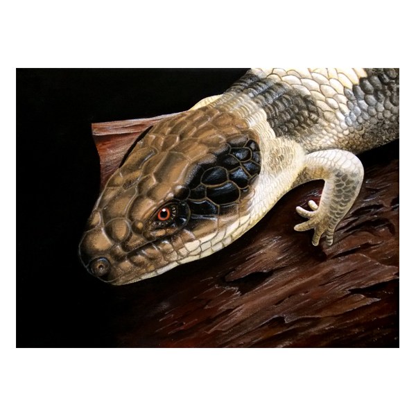 600x600 Western Blue Tongue - Tongue Painting