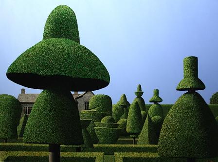 448x332 Topiary Red Rag Art Gallery - Topiary Painting