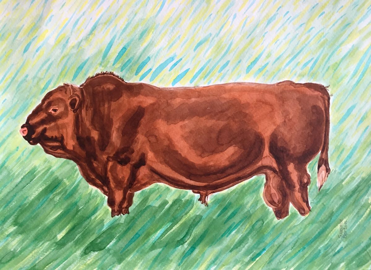 1200x874 Bull - Toro Painting