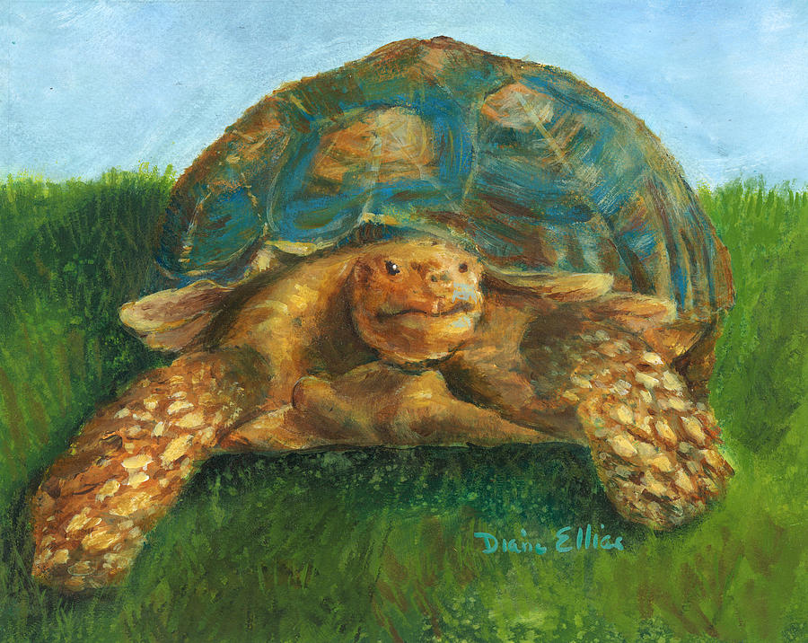 Tortoise Painting at PaintingValley.com | Explore collection of ...