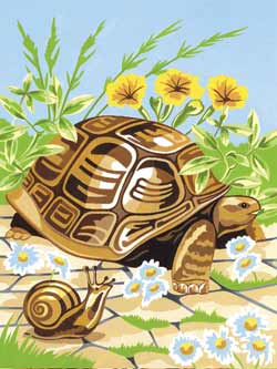 250x333 Reeves Medium Painting By Numbers Tortoise (J61) - Tortoise Painting