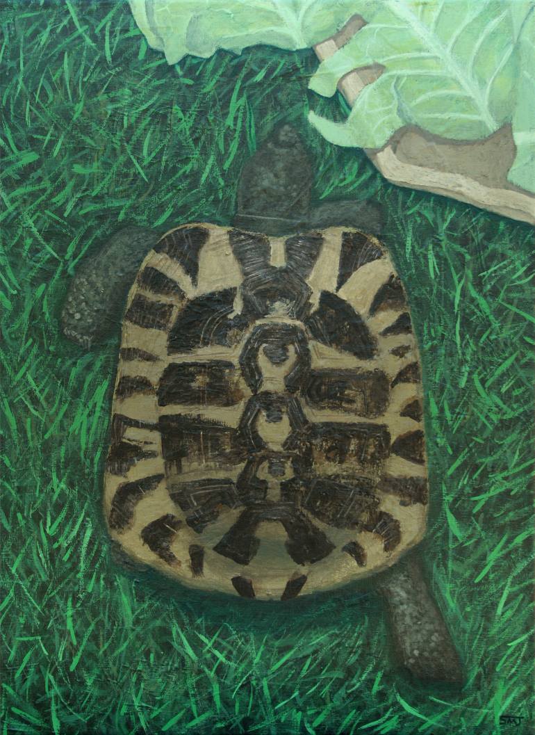 770x1057 Saatchi Art Tortoise Painting By Shaun Michael Jones - Tortoise Painting