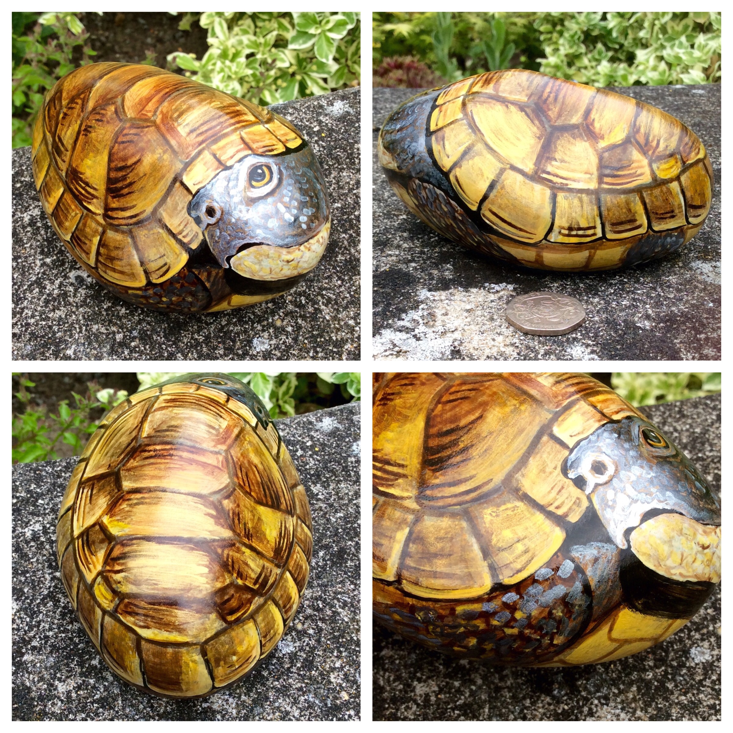 2400x2400 Tortoise Hand Painted On Rock Cobblecreatures - Tortoise Painting