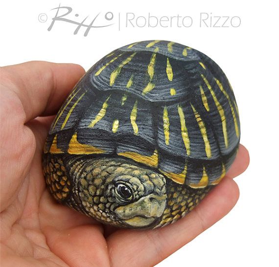 570x546 Unique Hand Painted Tortoise A Wonderful Box Earth Turtle - Tortoise Painting