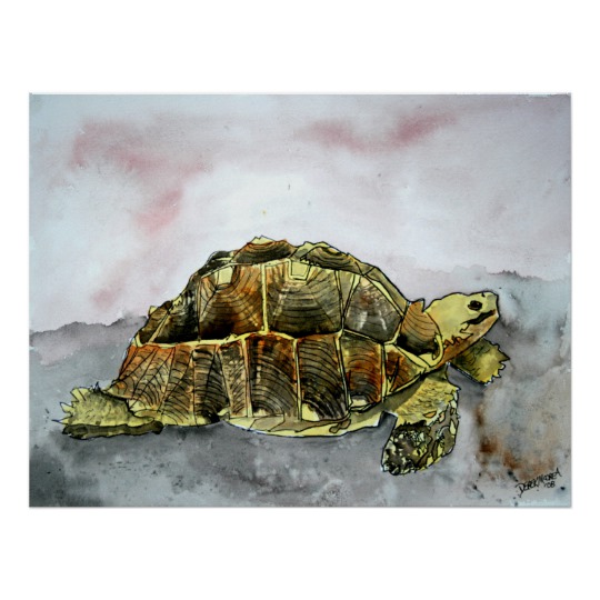 540x540 African Tortoise Land Turtle Poster Print Painting - Tortoise Painting