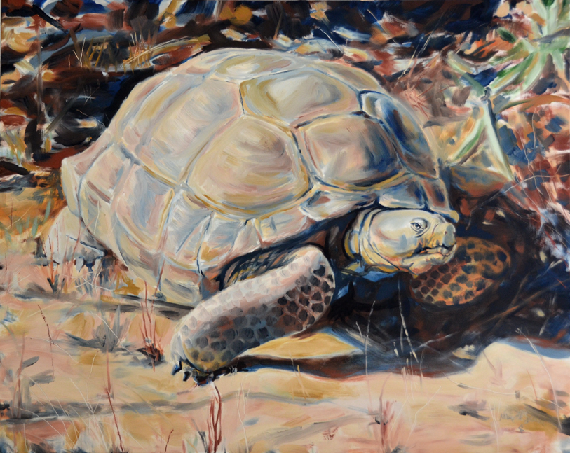 813x647 Karine's Blog Painting Vs. Photography - Tortoise Painting