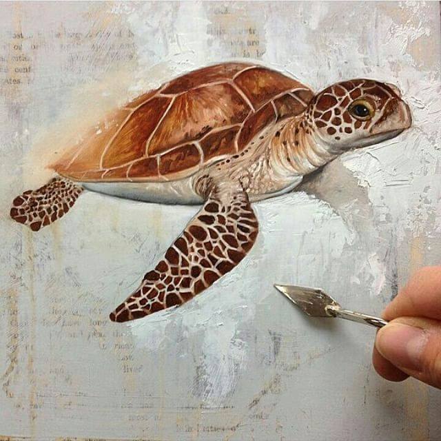 640x640 Tortoise Painting By Bryanhollandarts - Tortoise Painting