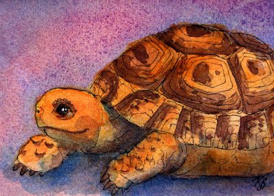 Tortoise paintings search result at PaintingValley.com