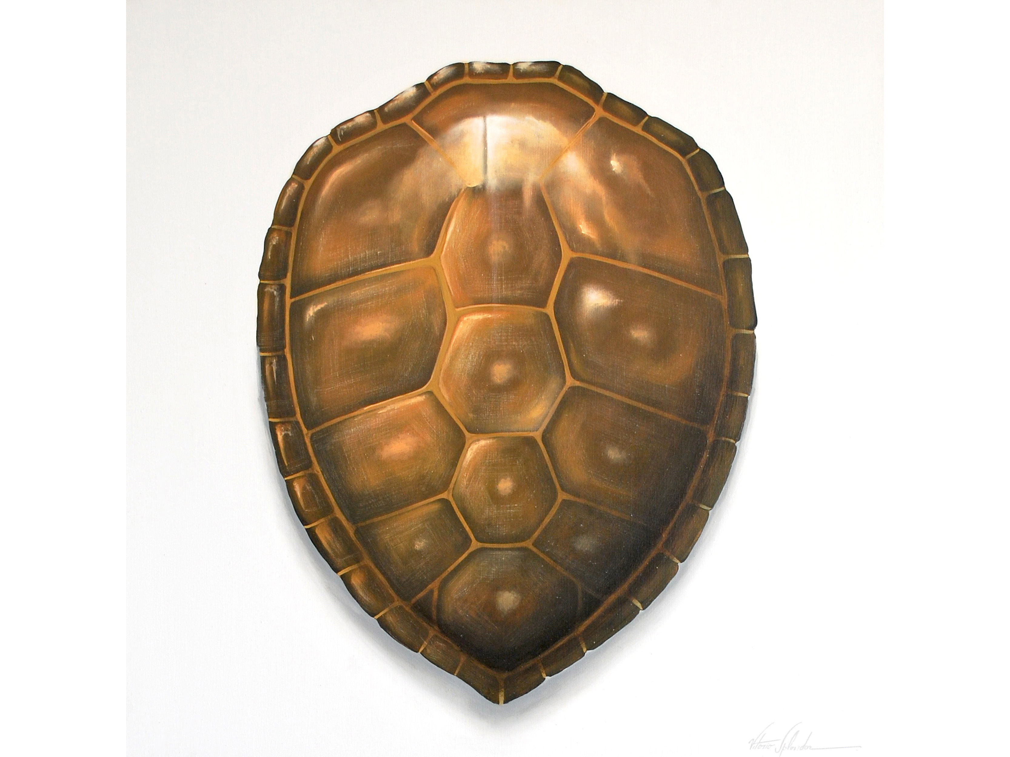 3332x2499 Tortoise Shell Painting 2 - Tortoise Shell Painting