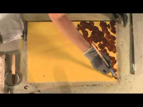 480x360 Tortoise Shell - Tortoise Shell Painting