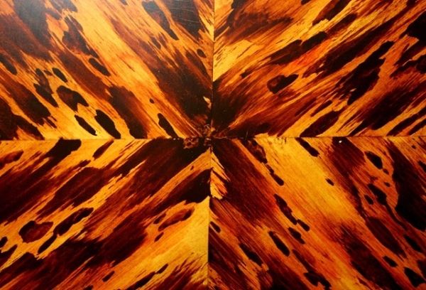 600x408 Tortoiseshell Paint Effect By Simplepleasures000 Home Decor - Tortoise Shell Painting