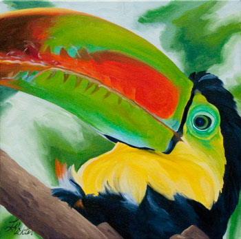 350x347 Toucan - Toucan Bird Painting