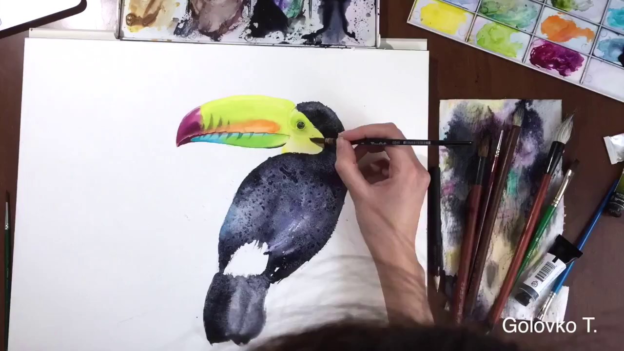 1280x720 Toucan Watercolour Painting Time Lapse (Part) - Toucan Painting
