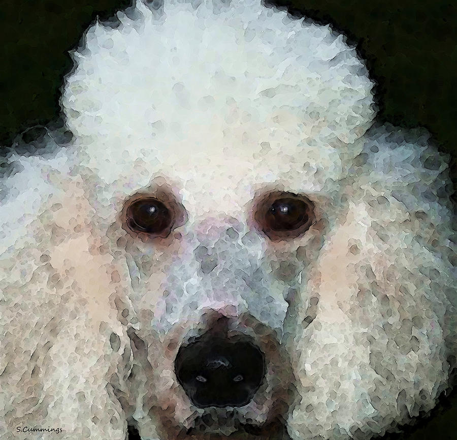 900x865 Poodle Art - Toy Poodle Painting