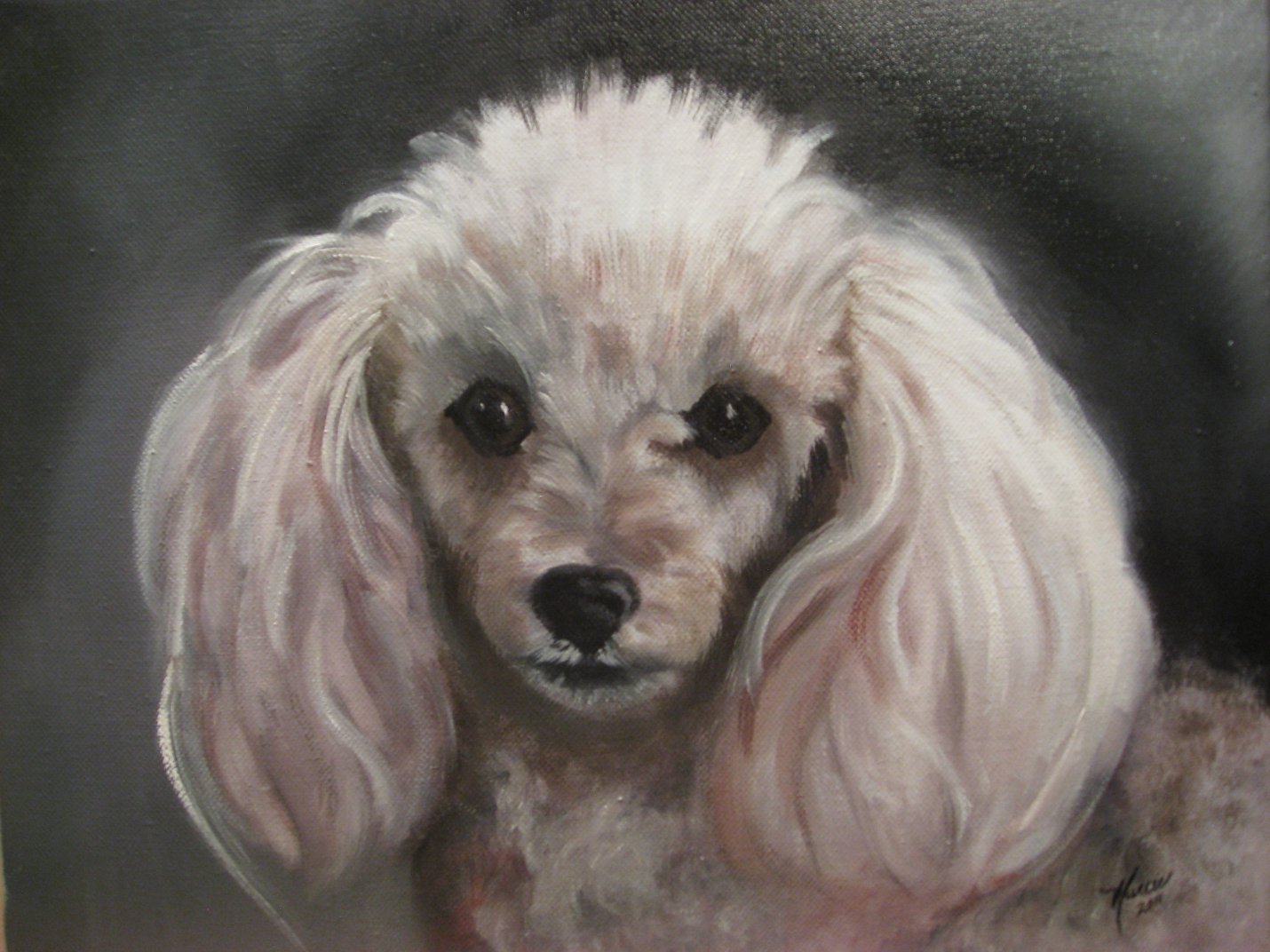 1430x1072 Sasha - Toy Poodle Painting