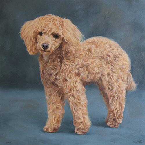 500x500 Custom Dog Portrait, Pet Portrait, Dog Painting Poodle - Toy Poodle Painting
