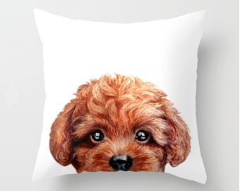 340x270 Toy Poodle Painting Etsy - Toy Poodle Painting