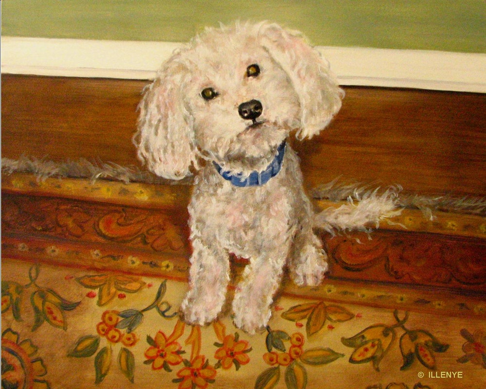 1000x800 Bert Poodle Puppy On Oriental Rug Sage Celery Green Wall By Artist - Toy Poodle Painting