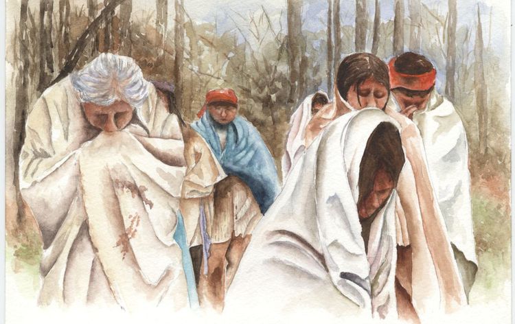 750x472 Trail Of Tears, Trail Of Refuges National Wildlife Refuge System - Trail Of Tears Painting