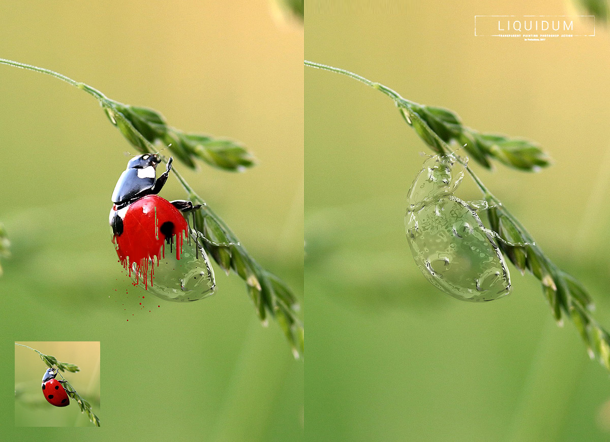 1200x870 Liquidum - Transparent Painting