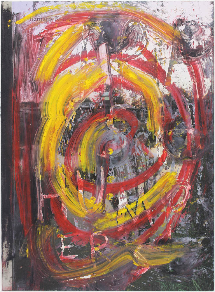 737x1000 Trash Humpers Signed With Hand Painted Cover Harmony Korine - Trash Painting