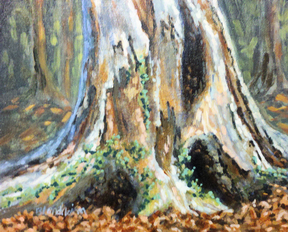 1000x804 Tree Painter Studying A Tree Trunk - Tree Bark Painting