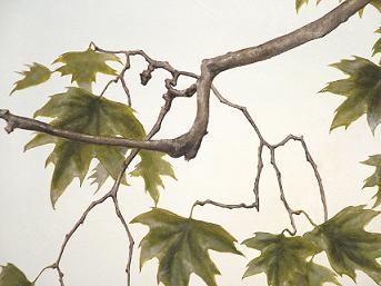 343x257 Under The Spreading Chestnut Tree - Tree Branch Painting