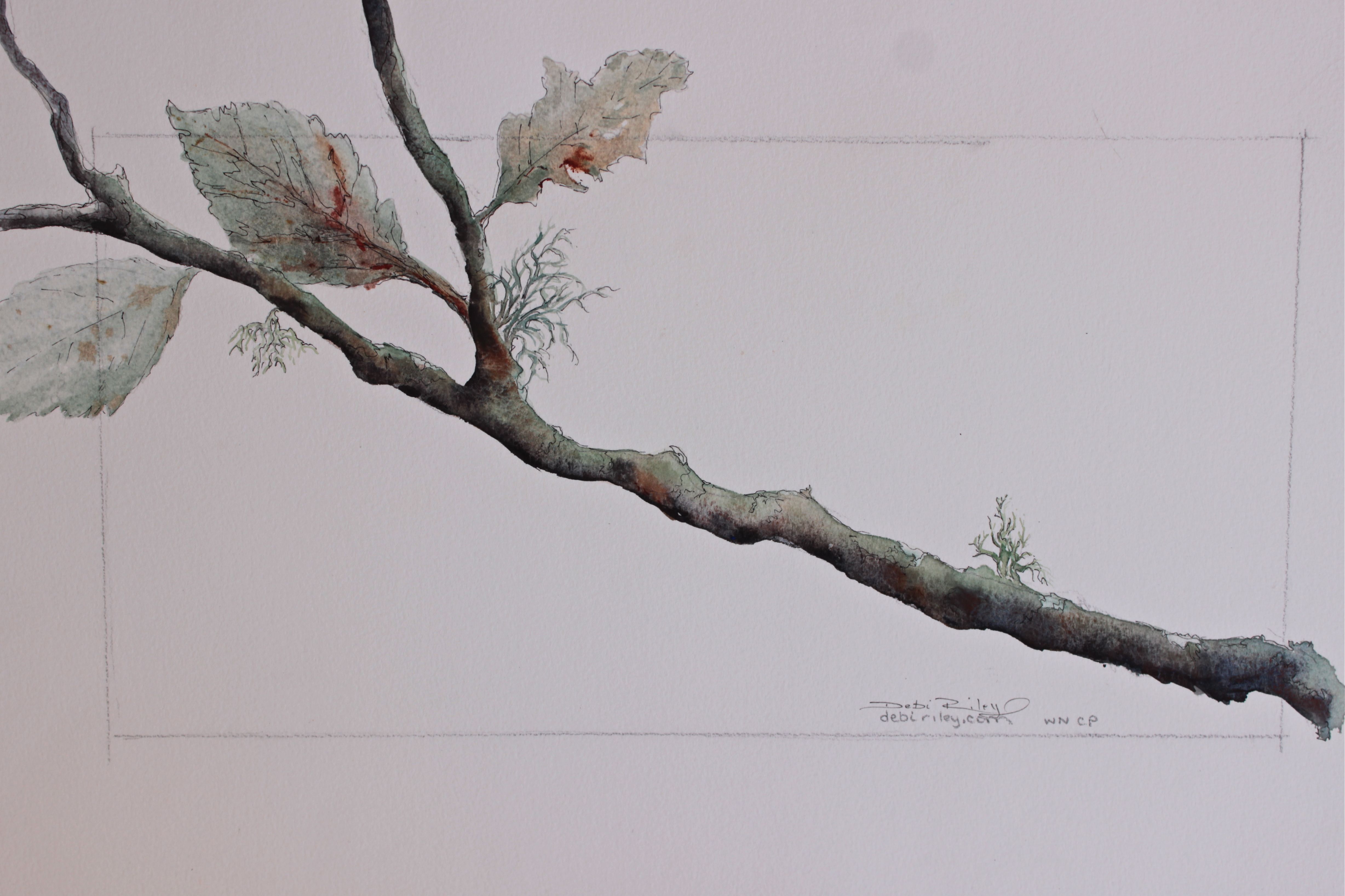 Tree Branch Painting At PaintingValley Com Explore Collection Of Tree   Tree Branch Painting 33 