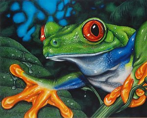 300x240 Red Eye Tree Frog Painting By Jerry Graham - Tree Frog Painting