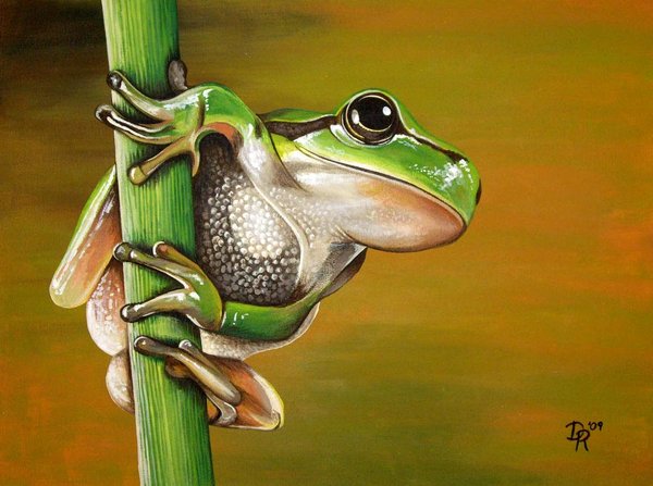 600x447 Tree Frog By Daniellehope - Tree Frog Painting