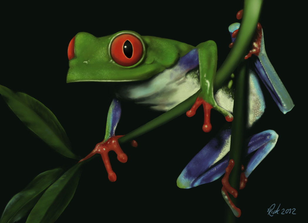 1049x761 Green Tree Frog (Digital Painting) By Rick Lilley - Tree Frog Painting
