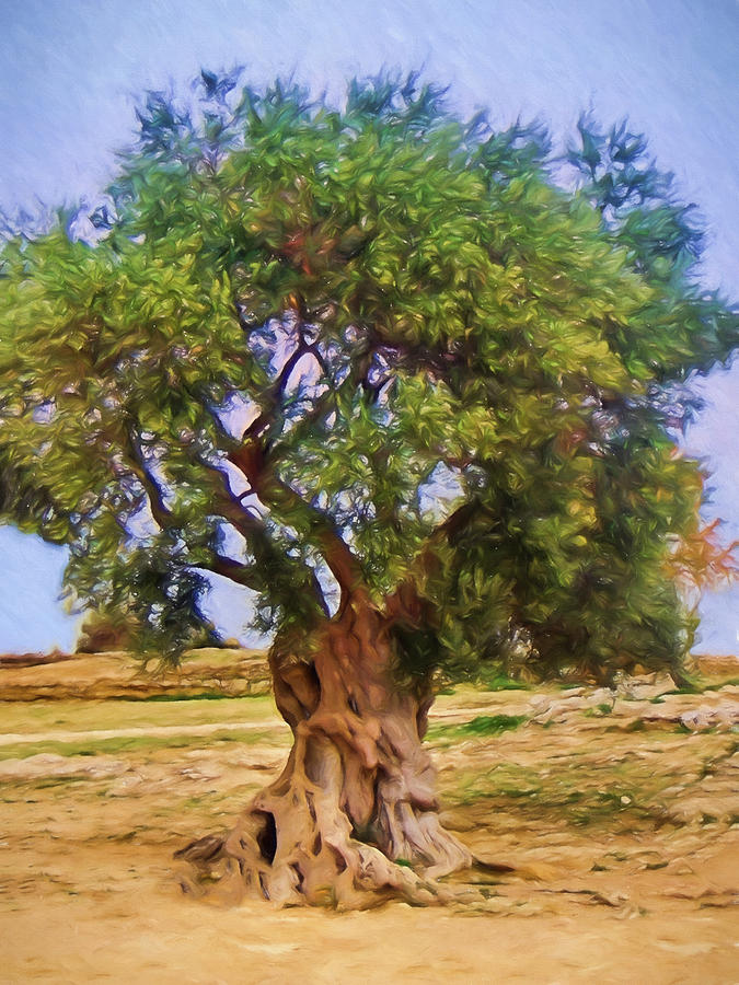 675x900 Old Olive Tree Painting By Impressionist Art - Tree Impressionist Painting