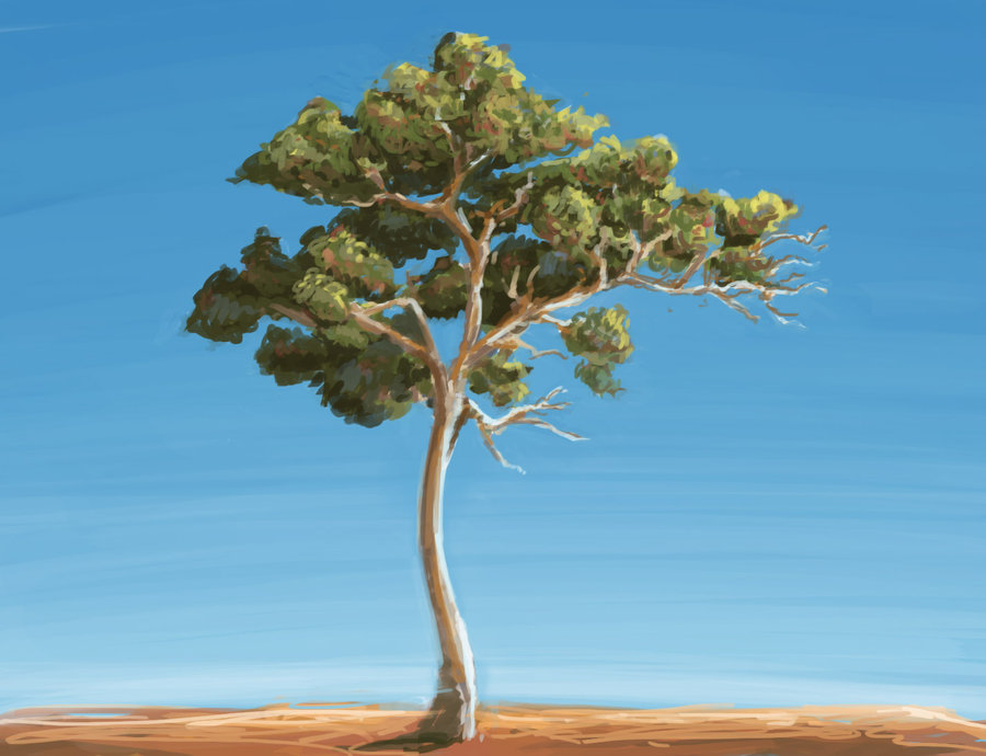 900x690 Tree Painting Practice By Anuxinamoon - Tree Painting Images