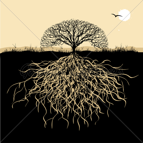 500x500 Tree Silhouette With Roots Gl Stock Images - Tree Painting With Roots