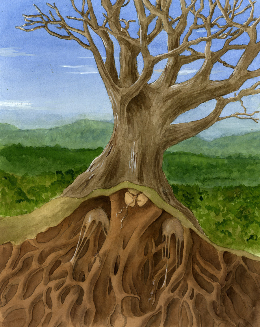 900x1131 Tree With Heart Roots By Elizabethnixon - Tree Painting With Roots