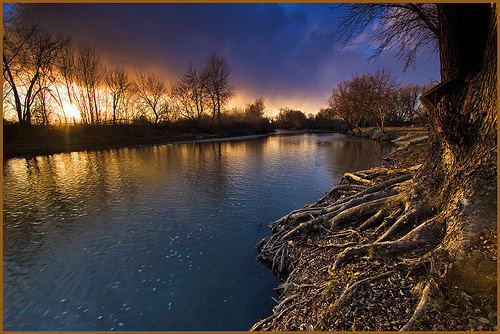 500x334 Hair Style For You Tree Roots Painting - Tree Roots Painting