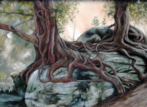 480x349 Si's Trees Landscape, Oils On Canvas - Tree Roots Painting